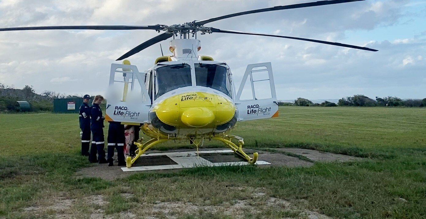 Boy bitten by dingo on K'gari (Fraser Island) | Flipboard