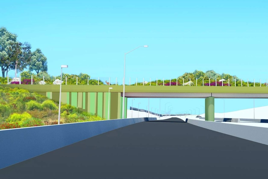 A design render of the Tonkin Highway fauna bridge