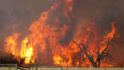 A wall of flames roars in the Bunyip Ridge fire in Victoria
