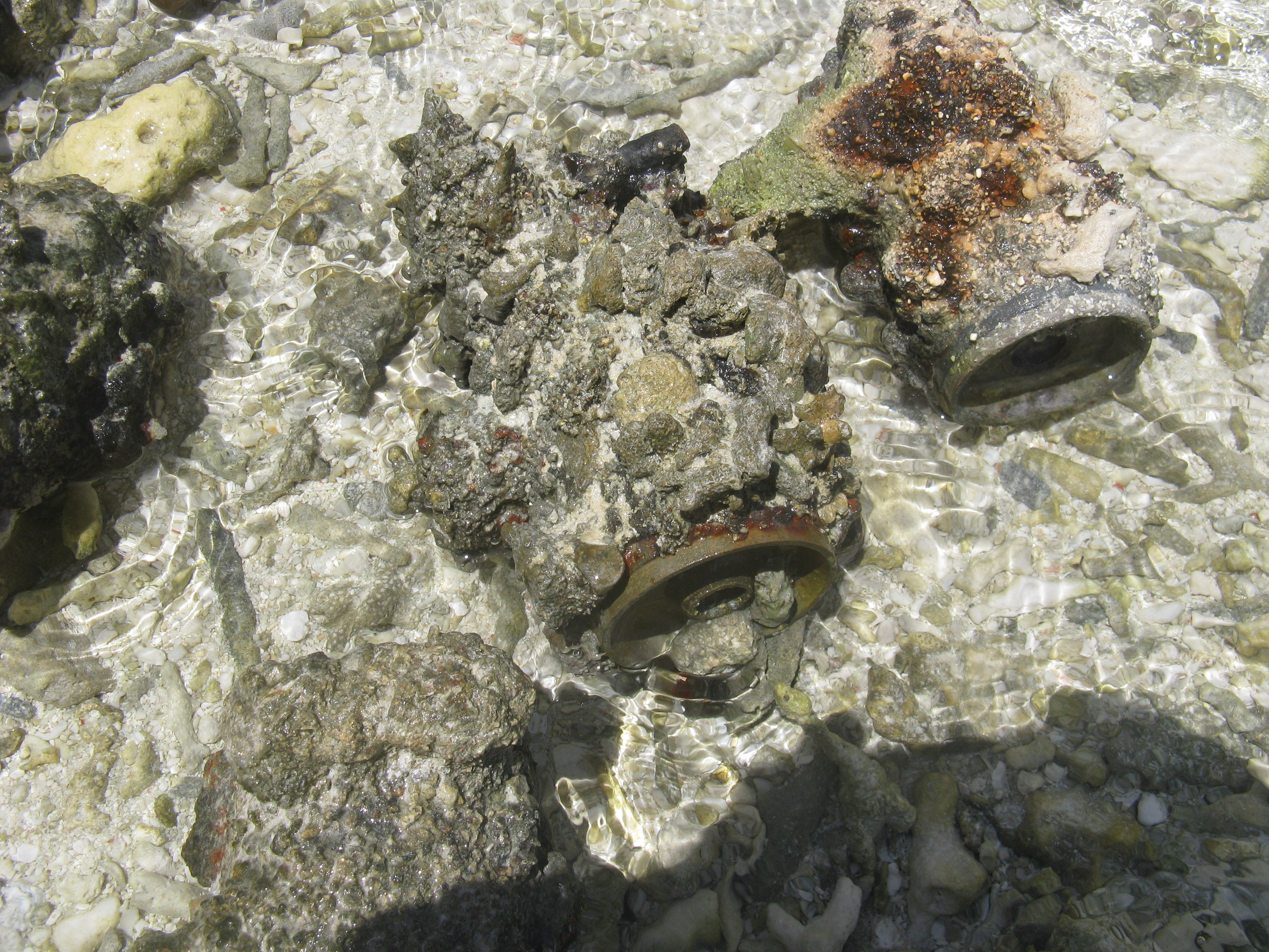 Diffusing the Great Barrier Reef's explosive past