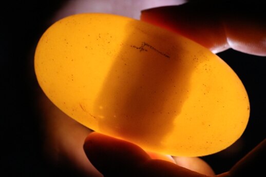 A hand holds a yellow egg which is see-through.
