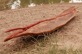 A Barkindj Aboriginal canoe lays on the ground at Steamers Point in Wilcannia