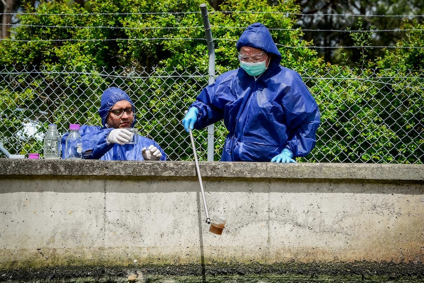 Ruby Lin holds a pole with a jar on the end, with a sewage sample inside.