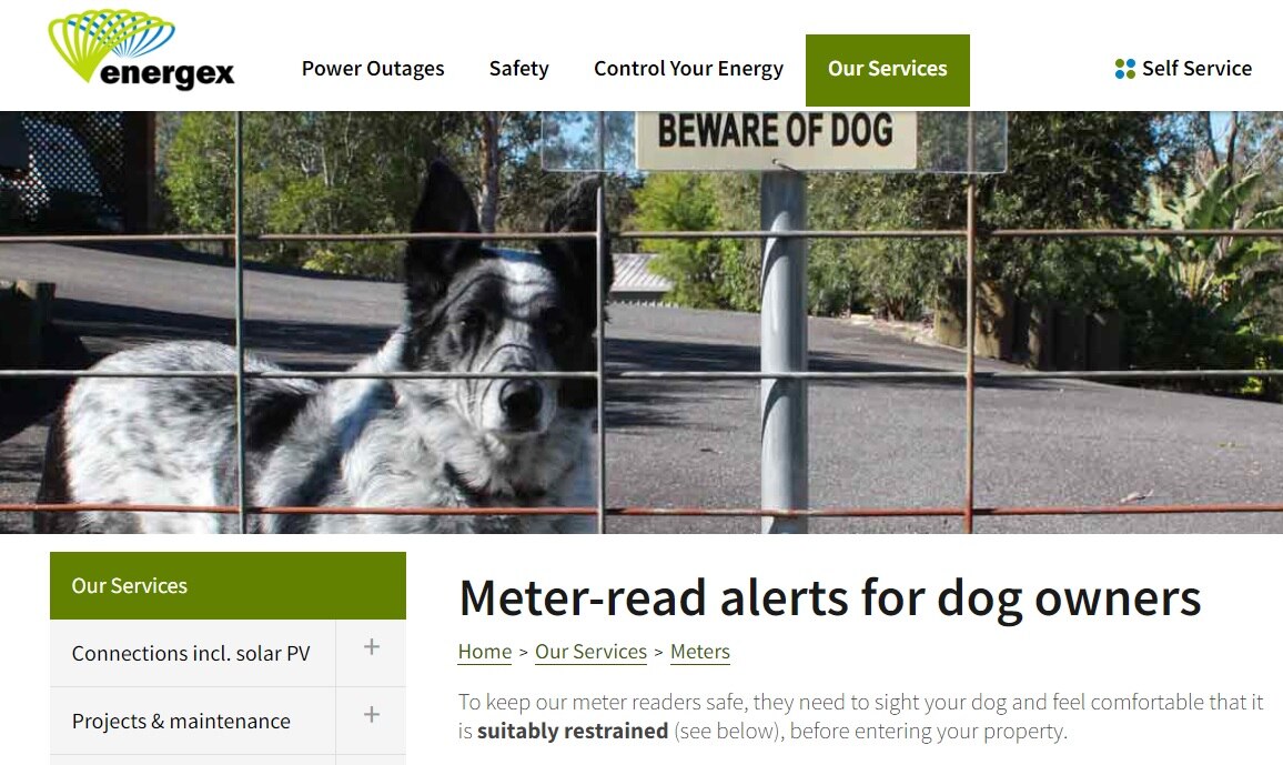 Authorities yet to decide fate of dogs that killed meter reader Kane