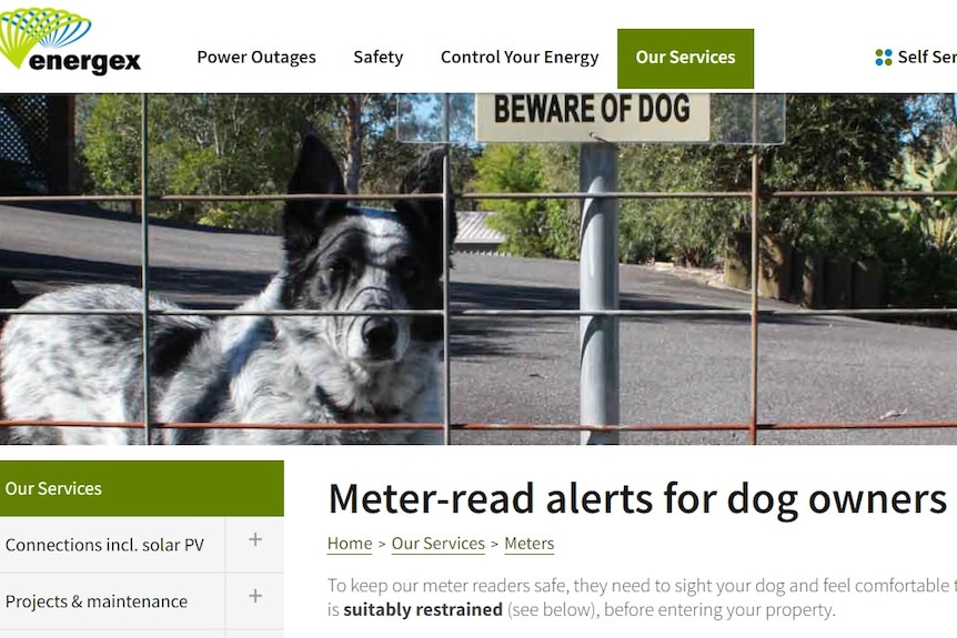 Energex website on meter reading alerts for dog owners