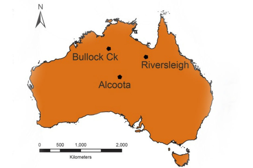 Map showing where Dromornis murrayi bones were found