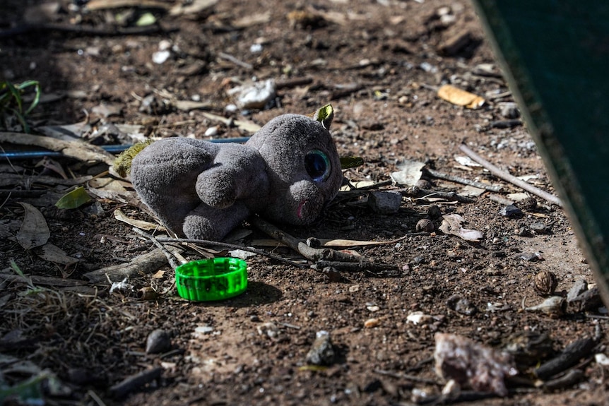 A soft toy on the ground surrounded by twigs and rocks.