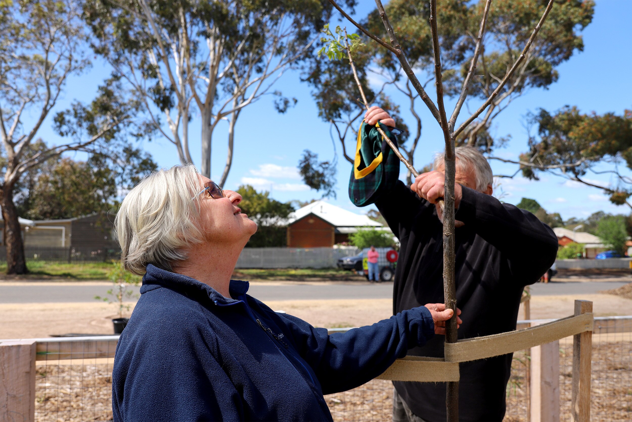 Older woman in blue jumper and man in black jumper tend to a tree with a residential street behind them 