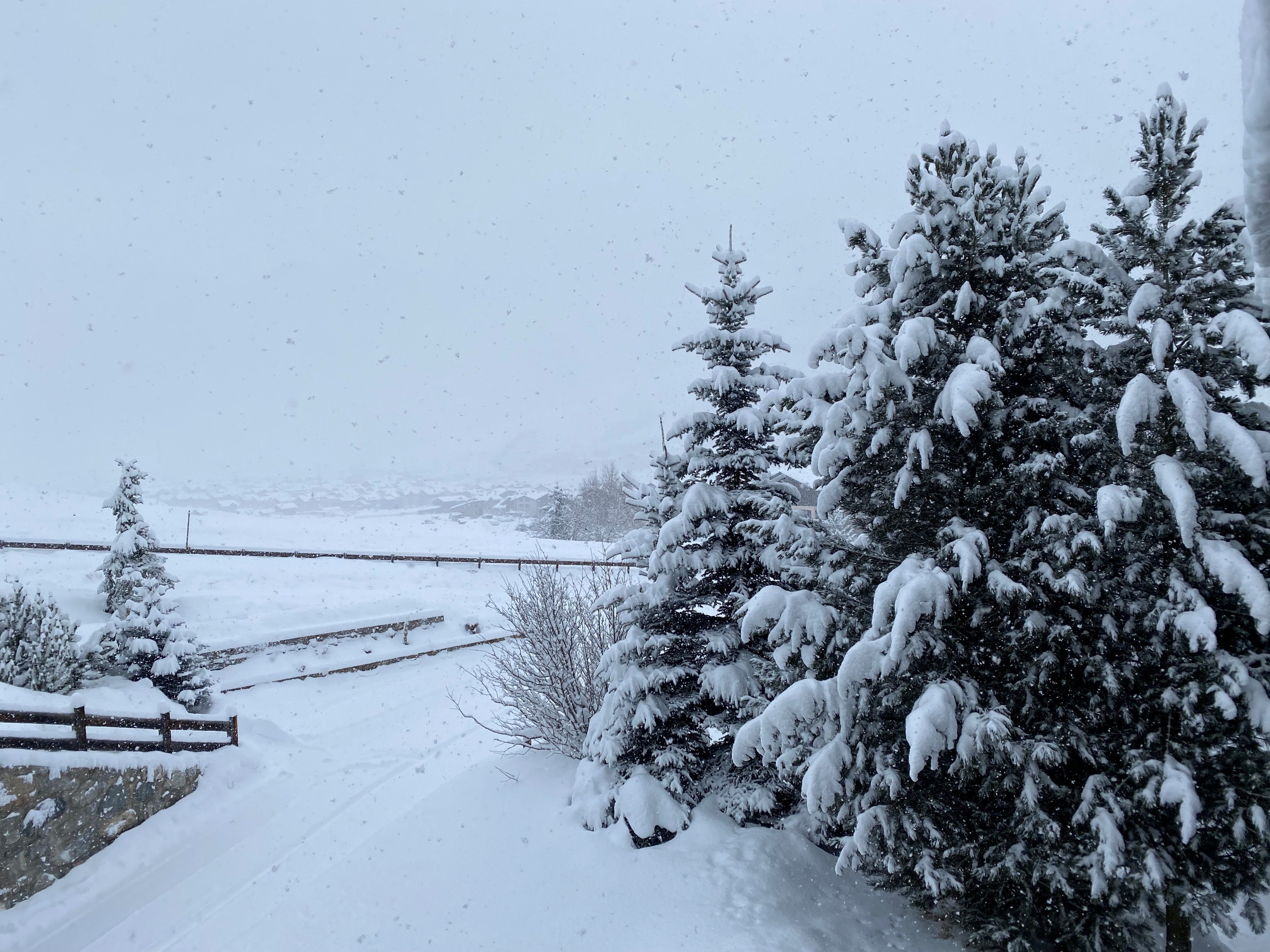 Snowy scene in Livigno 2