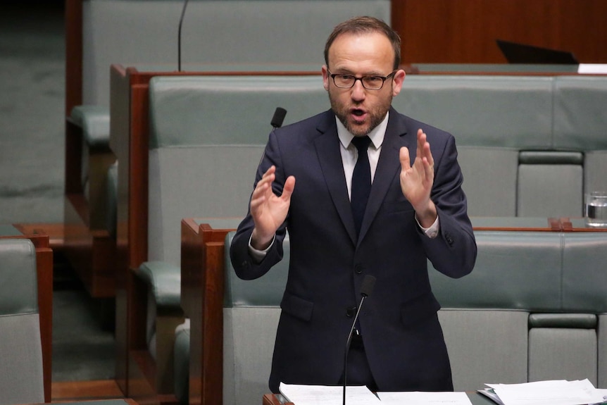 Adam Bandt gestures with two hands while standing at his seat in the green House of Representatives.