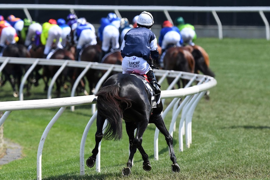 The Cliffsofmoher falls behind the Melbourne Cup pack