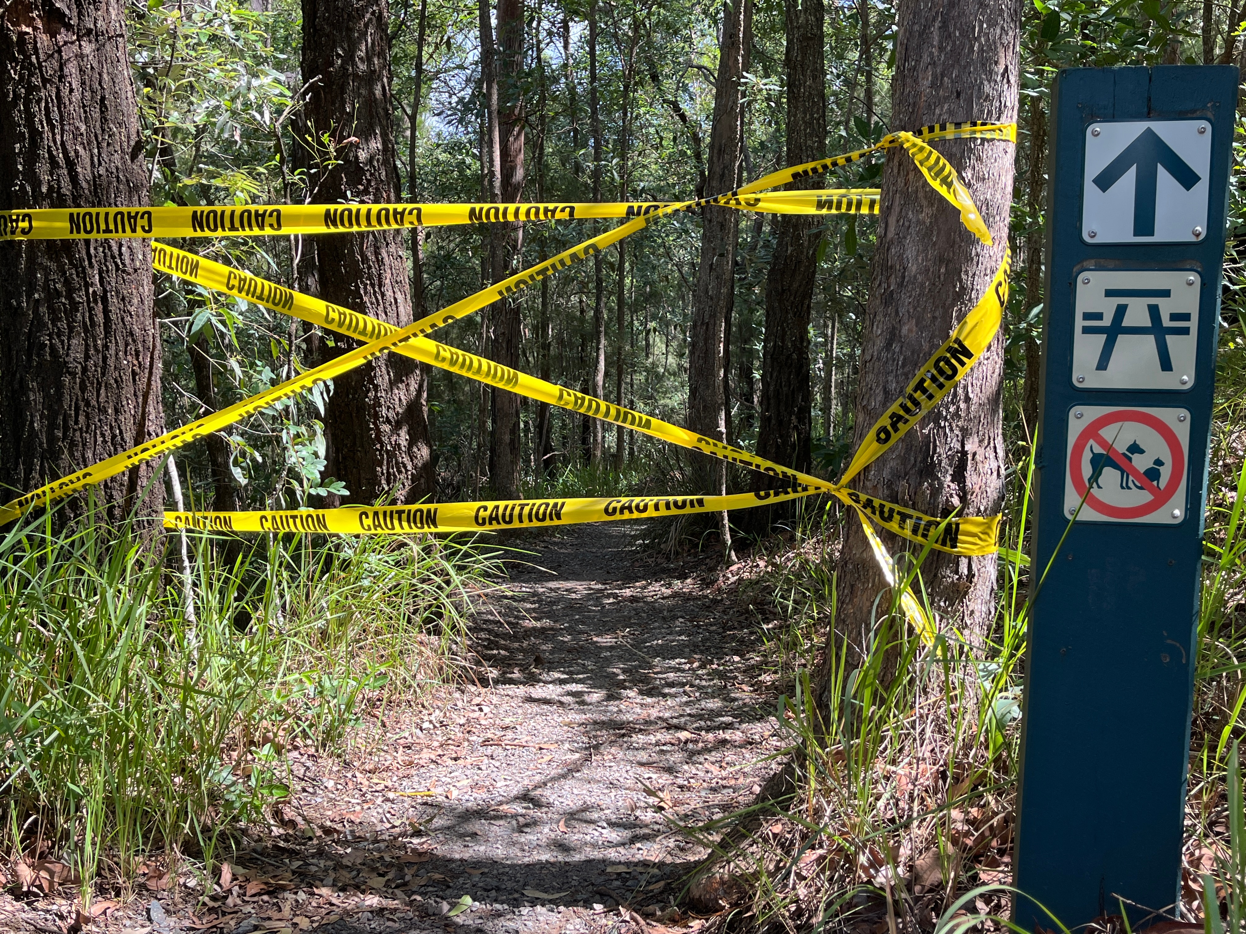 Teenager dies and another is critically injured in Mount Beerwah ...
