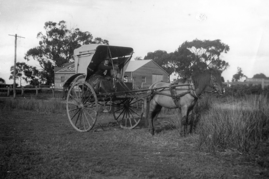 a black and white image of a woman on a horse drawn carriage.