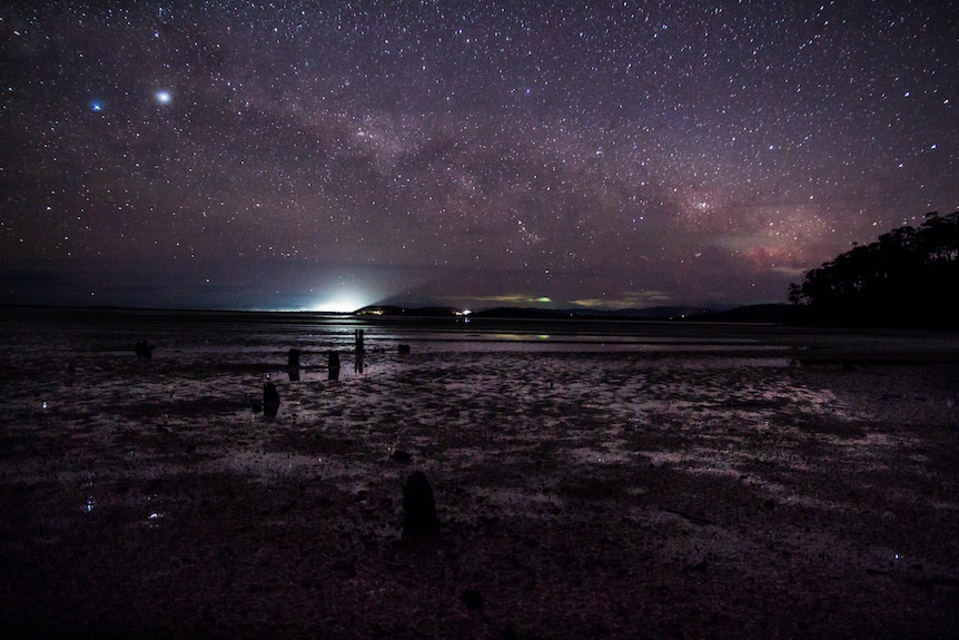 An array of stars in the night sky over a beach.