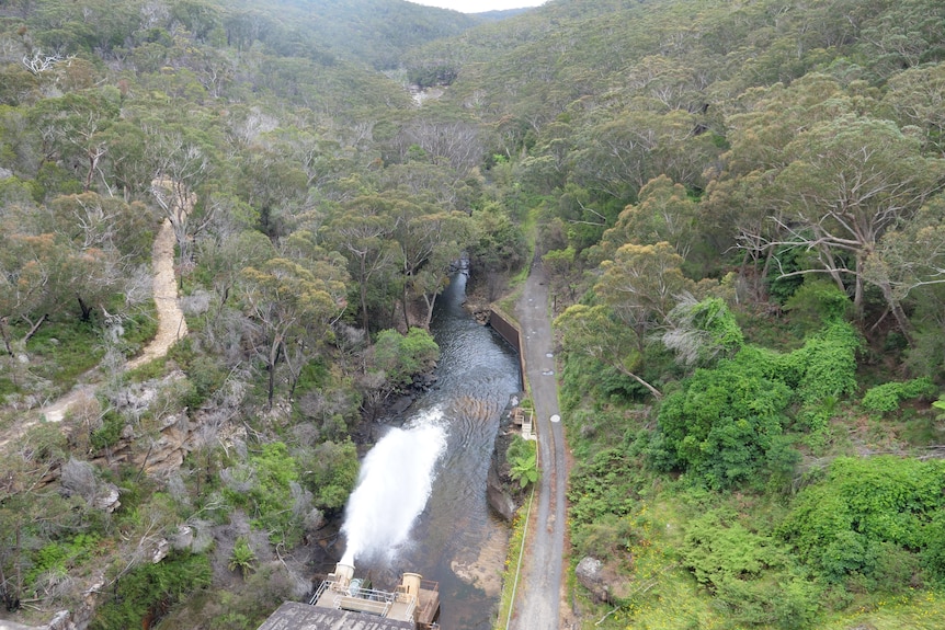 Wide view of western side of dam as water is released looking down a gorge