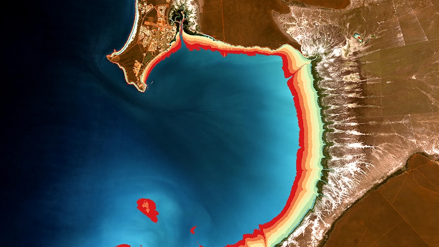 Satellite image of Roebuck Bay, WA, revealing topography of exposed mudflats through different hyper-colours