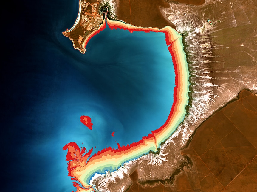 Satellite image of Roebuck Bay,WA, exposing topography of exposed mudflats through different hyper-colours