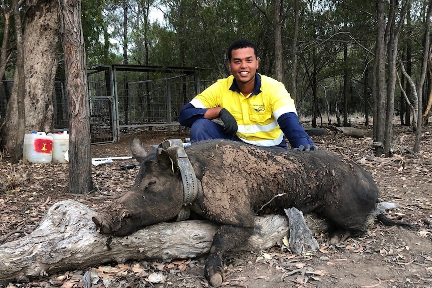 A man in hi-viz with a dead pig.