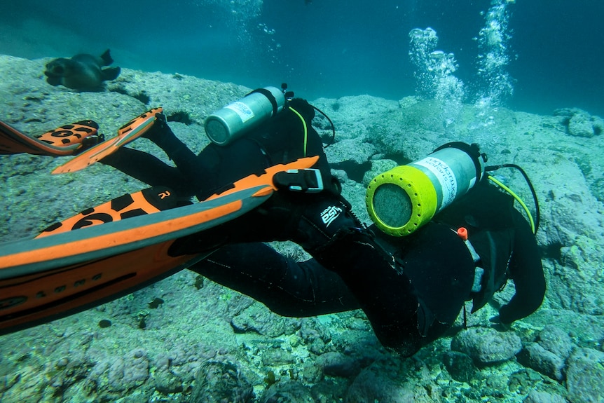 Two divers underwater