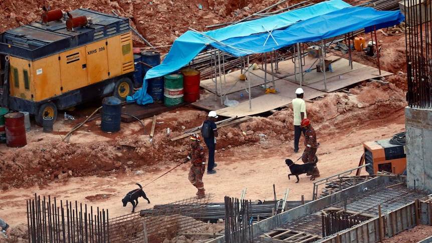 Rescue workers lead sniffer dogs around the construction site.