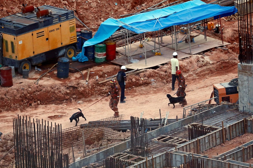 Rescue workers lead sniffer dogs around the construction site.
