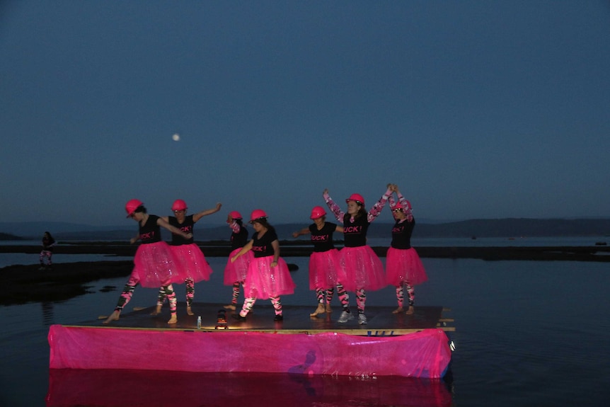 Protesters perform Swan Lake at the start of Tasmania's duck season.