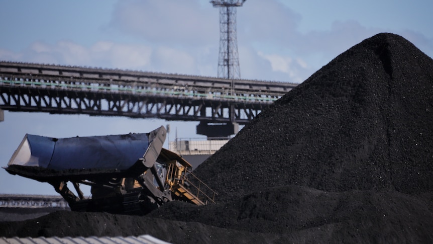 A bob cat machine in front of a very large pile of coal.