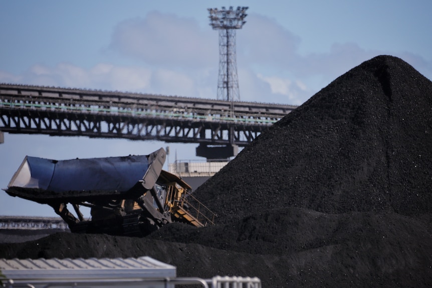 A bob cat in front of a very large pile of coal