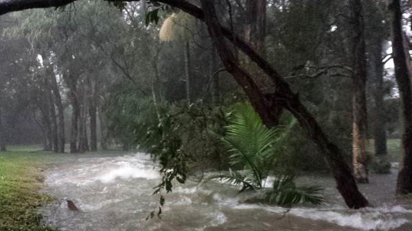 Flooded creek in Wishart, Brisbane