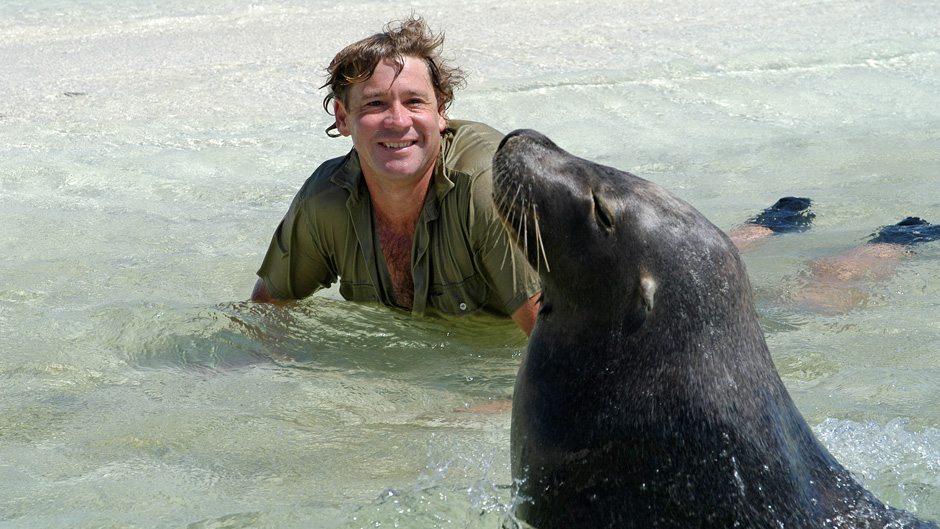 Steve Irwin with a sea lion. Date unknown.