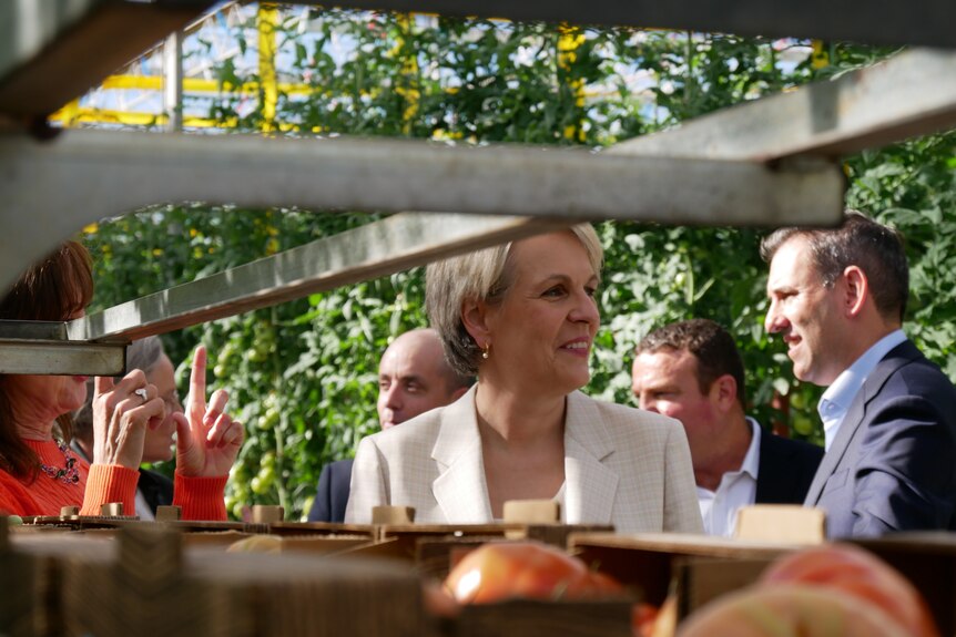 A middle-aged woman with short, fair hair – Tanya Plibersek – stands among a group of people at a tomato farm.