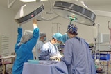 Surgeons perform an operation