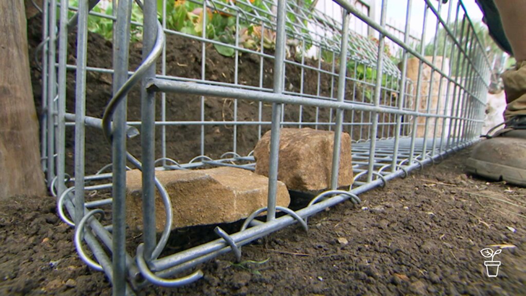 Another Brick in the Wall - Gardening Australia