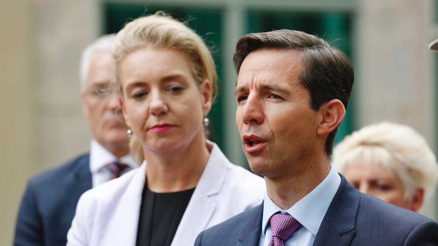 Education Minister Simon Birmingham speaks to the media outside Parliament House