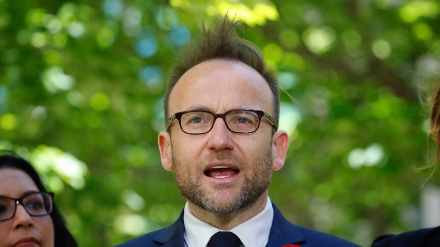 Adam Bandt stands in front of lush green tree to address the media.