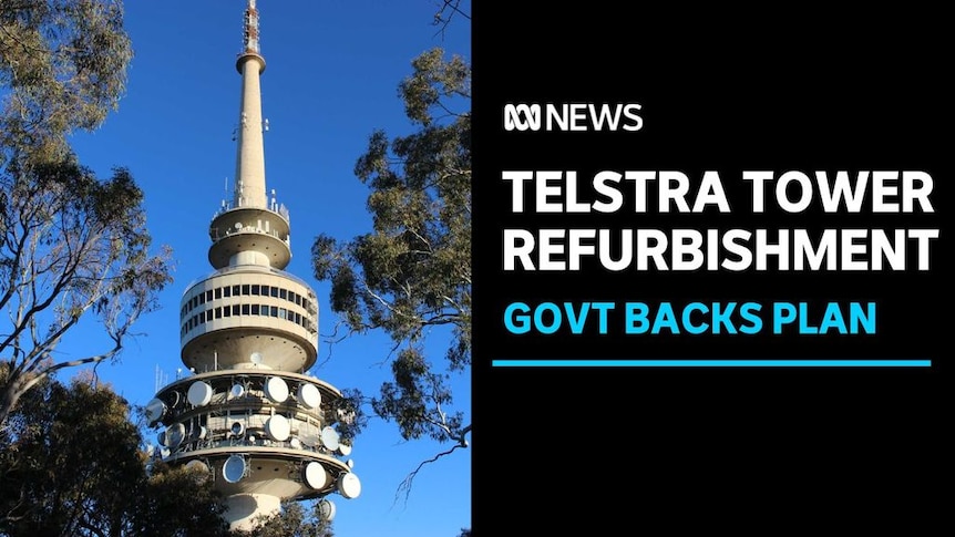 Telstra Tower Refurbishment, Govt Backs Plan: The Telstra Tower is visible between a gap in gum tree foliage.