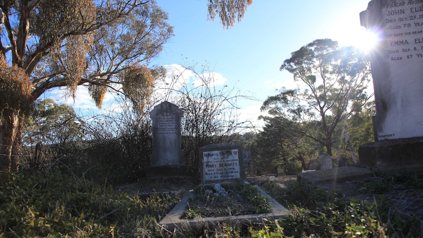Gravestones at Byng, Central West NSW