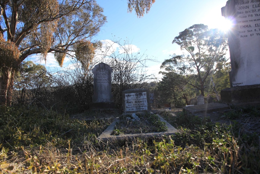 Gravestones at Byng, Central West NSW