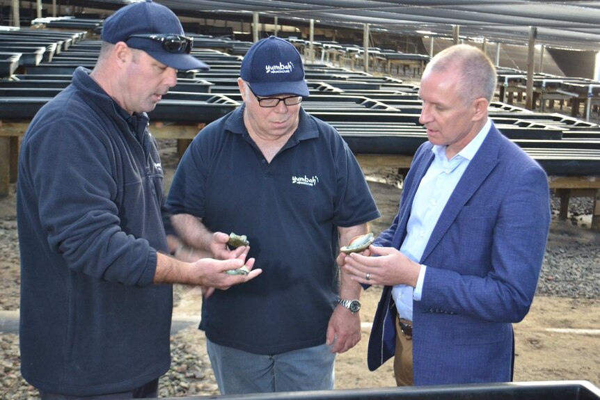 SA Premier Jay Weatherill and Yumbah's David Connell and Anthony Hall