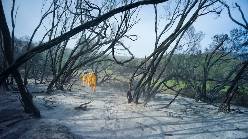 Fire ravages Margaret River bushland