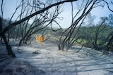 Fire ravages Margaret River bushland