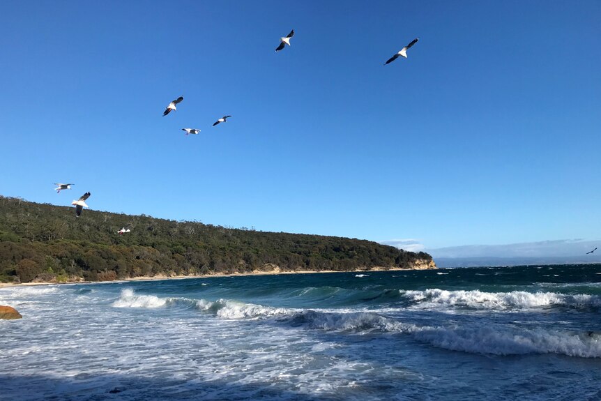 Photograph of a stormy sea, seagulls and a blue sky.