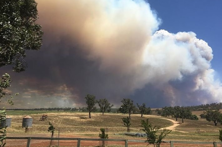 Smoke rises above a field.