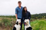 Brady (last name withheld) and Charlotte Brierley with their two dogs on their property in Queensland's Granite Belt.