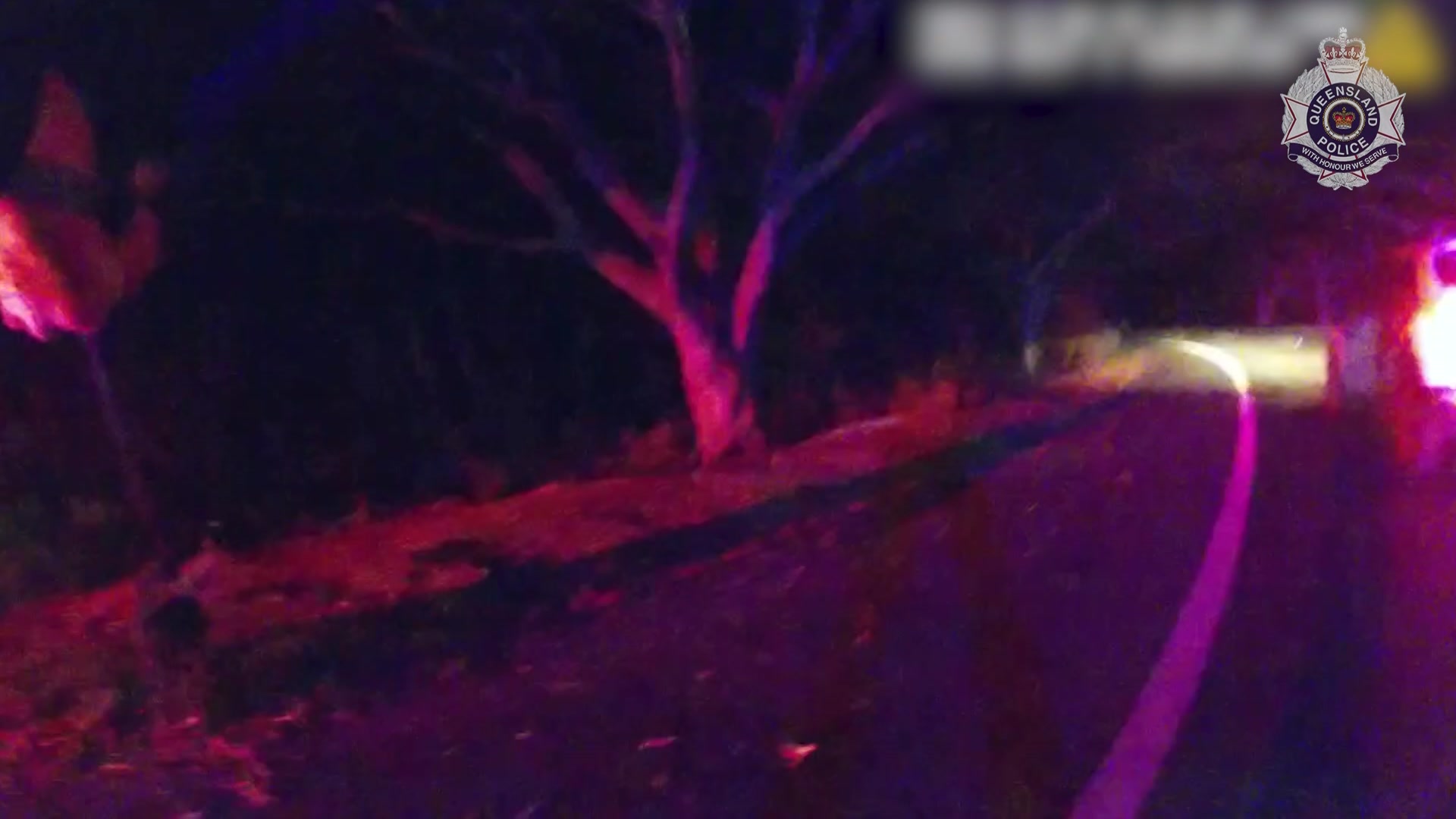 A 22-year-old man was arrested by police on the Gold Coast. - ABC News
