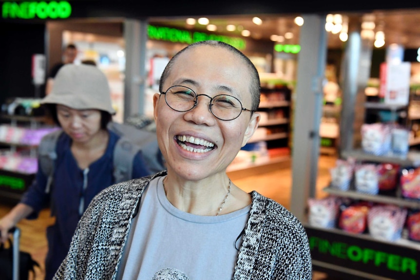 Liu Xia arrives at the Helsinki International Airport in Vantaa, Finland