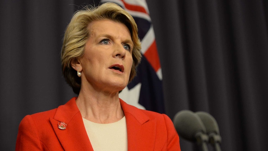 Julie Bishop at a press conference in Canberra, Nov 11 2013