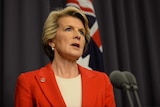 Julie Bishop at a press conference in Canberra, Nov 11 2013