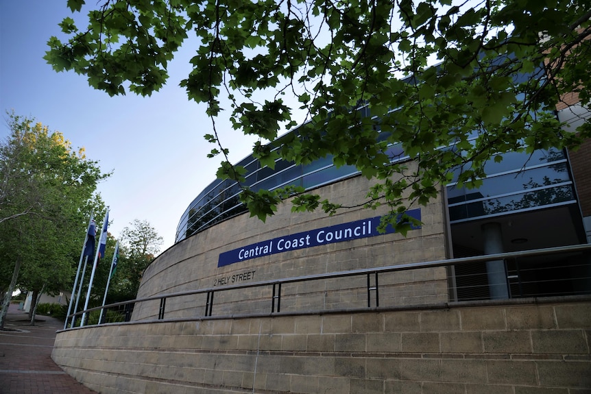 leaves from a tree frame the council sign