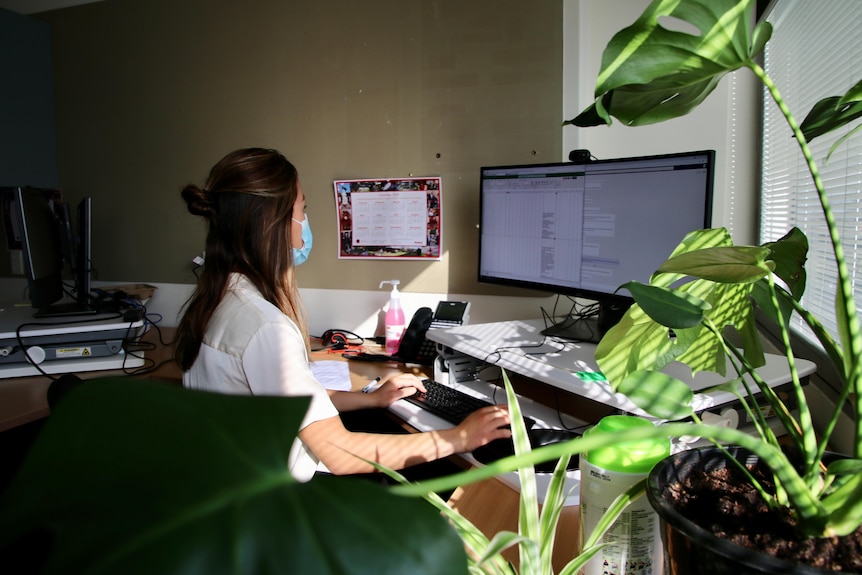 A woman wearing a face mask works at a computer with an indoor plant next to her.